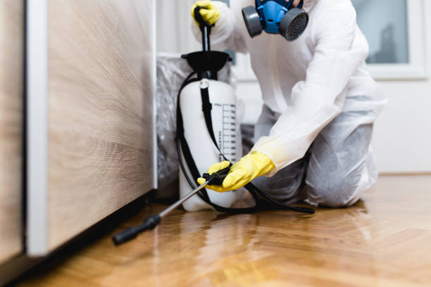 Best Affordable Pest Control Services  in Gordon Heights, NY