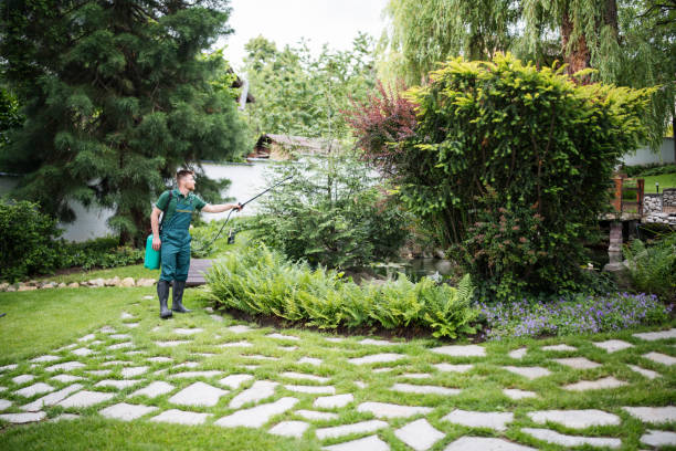Best Wasp Removal Services  in Gordon Heights, NY