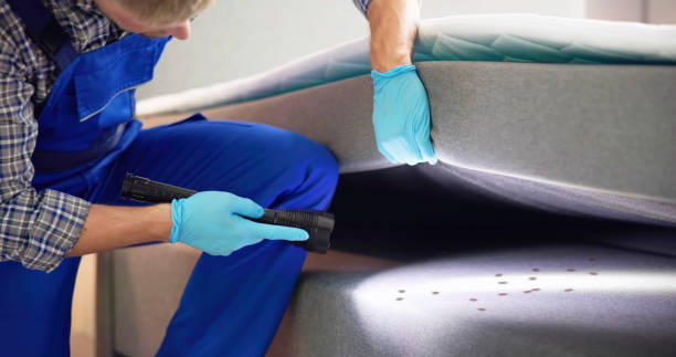 Best Best Pest Control Companies  in Gordon Heights, NY