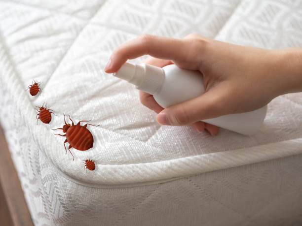 Best Cockroach Control Services  in Gordon Heights, NY
