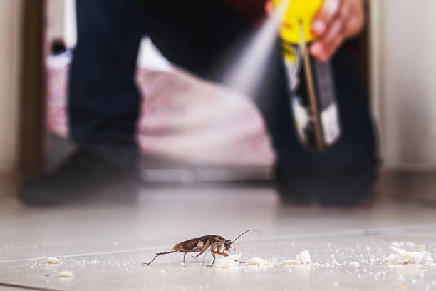 Best Commercial Pest Control Services  in Gordon Heights, NY