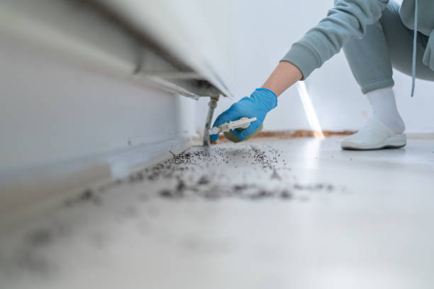 Best Residential Pest Control  in Gordon Heights, NY
