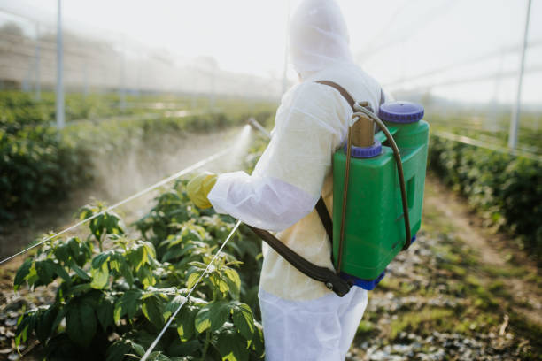 Best Residential Pest Control  in Gordon Heights, NY